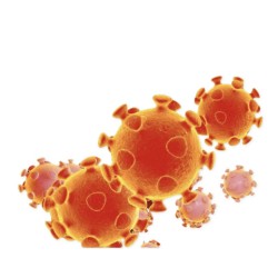 Airborne Pathogens Training Online