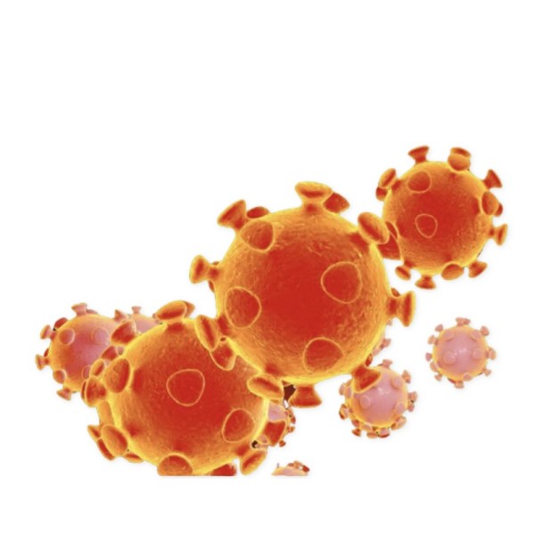 Airborne Pathogens Training Online Airborne Pathogens Training Online