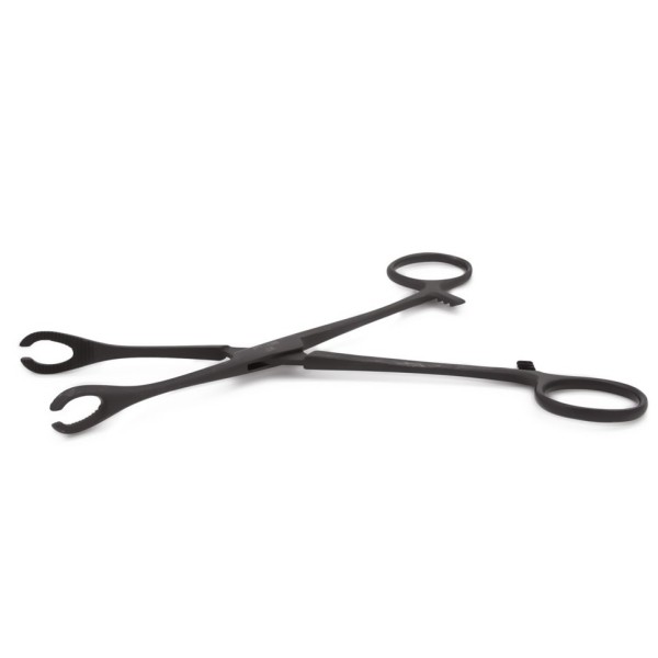 Slotted Forester (Sponge) Slotted Forester (Sponge)